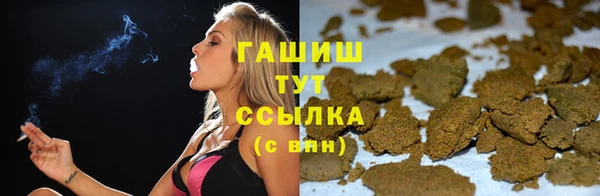 сатива Заводоуковск
