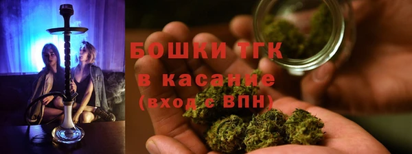сатива Заводоуковск