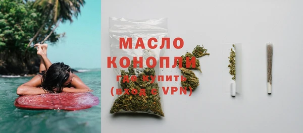 сатива Заводоуковск