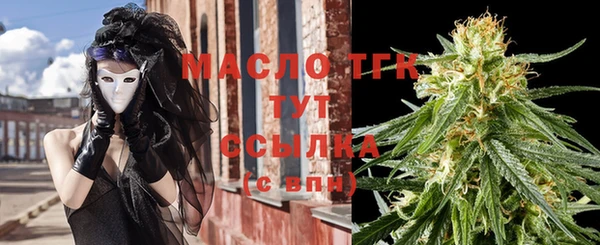 сатива Заводоуковск