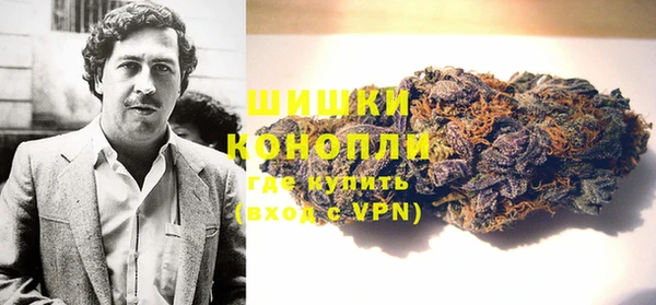 сатива Заводоуковск
