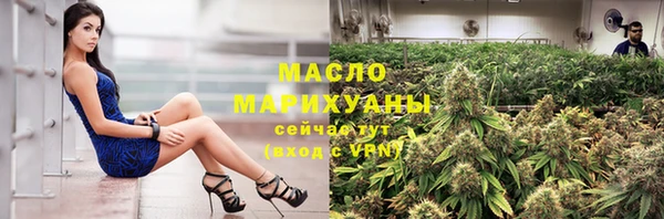 сатива Заводоуковск