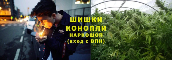 сатива Заводоуковск