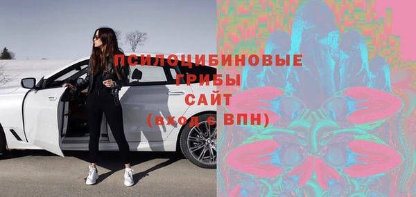 сатива Заводоуковск
