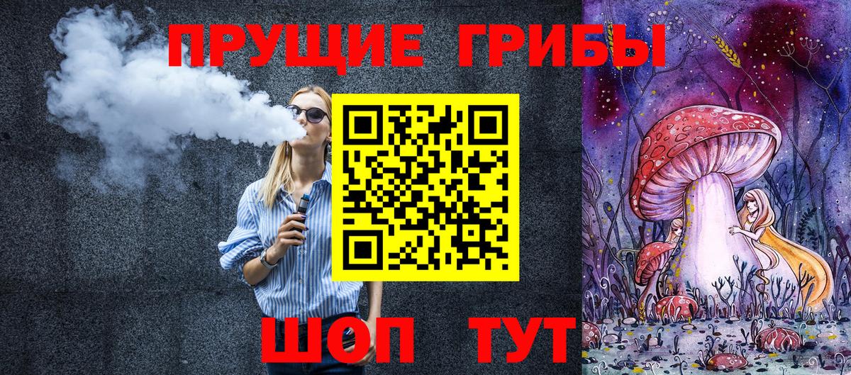 Грозный  Псилоцибиновые грибы Cubensis  купить закладку  Вход с VPN 