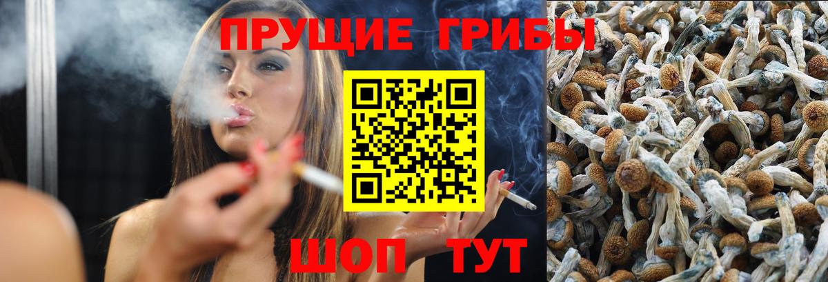 Псилоцибиновые грибы прущие грибы Грозный
