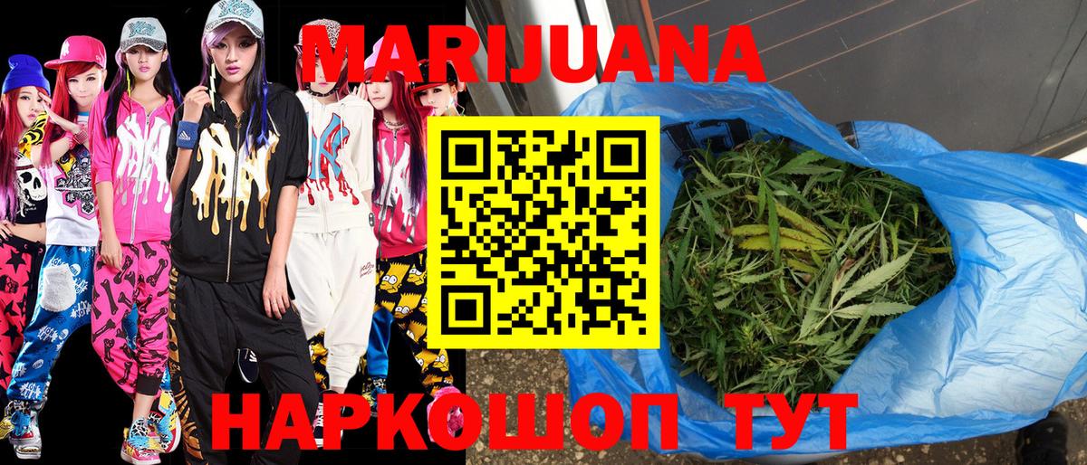 Конопля гибрид Грозный